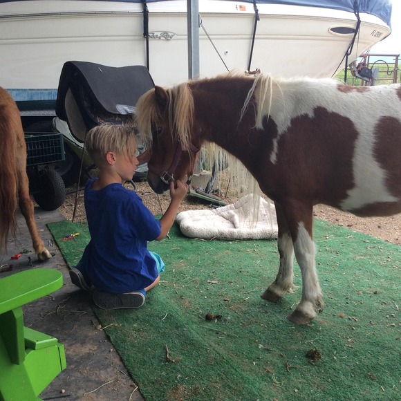 Meet your Posher, Tracy - Picture 1 of 1